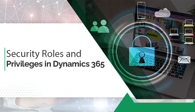 security roles and privileges in dynamics 36