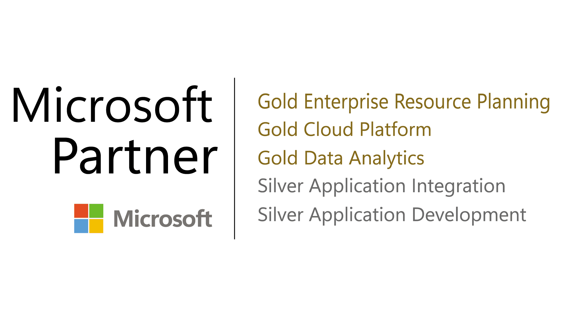 microsoft-partner-badge3.png